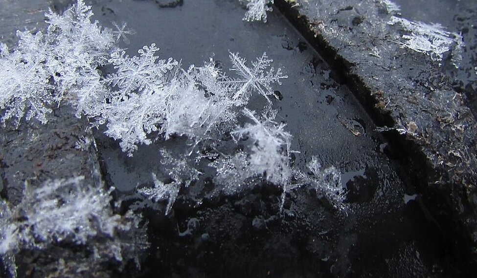 snöflingor i närbild